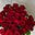 Rose & flowers's avatar