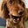 Deb Robinson's avatar
