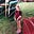Taylor's avatar
