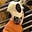 Petronella's avatar