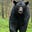 Chris Norcott's avatar