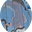 Osito shaman's avatar
