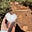 yahweh.ewe's avatar