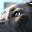 Abruptly Biff Contemplates's avatar