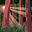 Progress's avatar