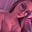 Laysa's avatar