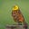 Mark Walters's avatar