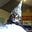RiverCave's avatar