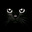Jacqueline's avatar