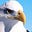 Angusk's avatar