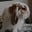 littlemoodybuns's avatar