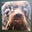 Ley Doggo's avatar