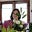 Christine, My Tuscany Roots's avatar
