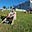 Avatar de Bruno Nunes