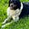 Janethunter23@gmail.com's avatar