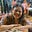 Avatar de Joyce Silveira