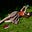 Velvet Morgan's avatar