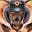 ZyklonBee's avatar