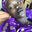 mukhtara ayọ̀tẹ́jú adékúnbi's avatar