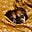 LouDonnoodles's avatar