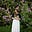 The Moonflower Chronicles's avatar