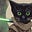 Magic Meow's avatar