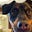 Susan Brewer's avatar