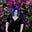 Sarah Wayte Creative's avatar