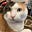Mamacat's avatar