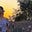 Avatar de A Florescer