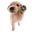 apollo's avatar