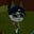 Indigo's avatar
