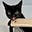 VelveetaSneeze's avatar