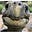 Deloris's avatar