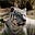 Miles_h's avatar