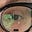 Desiree's avatar