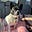 Sally Lane's avatar