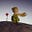 little prince's avatar
