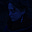 clara goldenstein's avatar