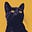 Guy with Cats's avatar