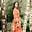 Alice Rose's avatar