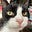 Evelyn McHugh's avatar