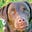 Rosemary M's avatar