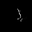 Shadow Boxer Diaries's avatar