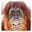 : Time To Get Busy - GrottNow!'s avatar