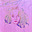 Eden Rose's avatar