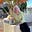 Catherine Werth's avatar