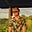 Phillip Bott-Hansson's avatar