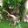 Yoga discipline's avatar