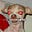 Atticus Dogsbody's avatar